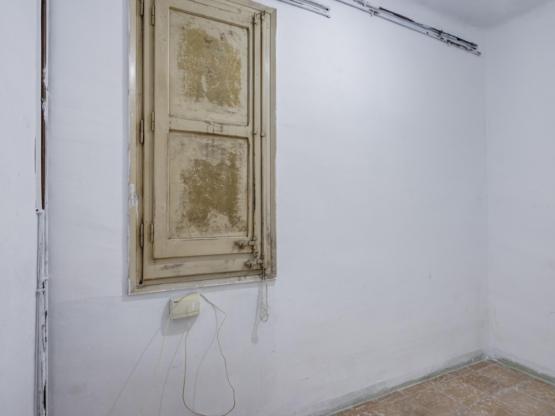 Imagen-17