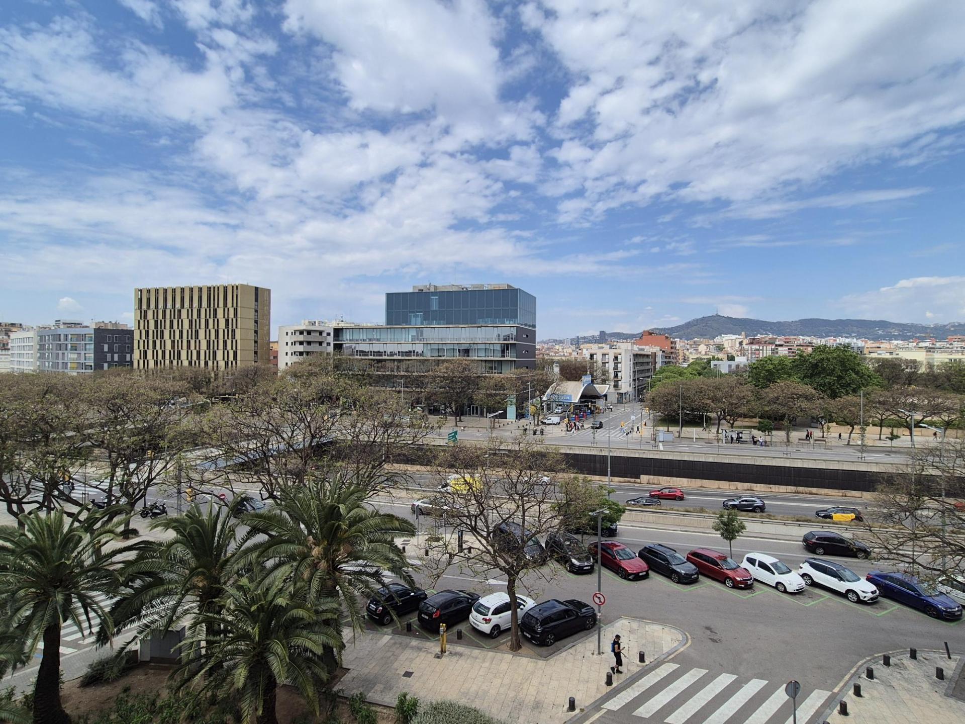 Imagen-6