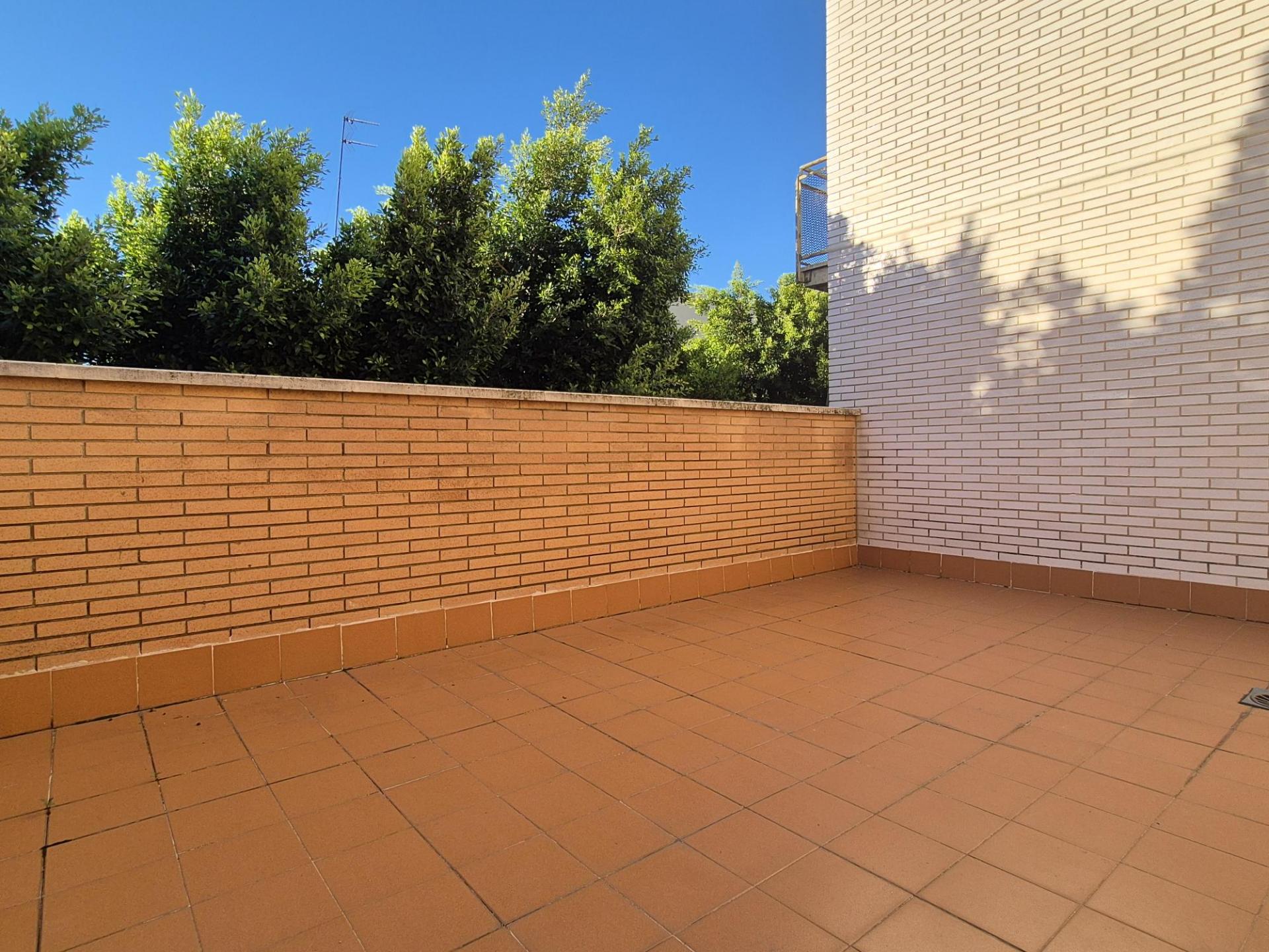 Imagen-22