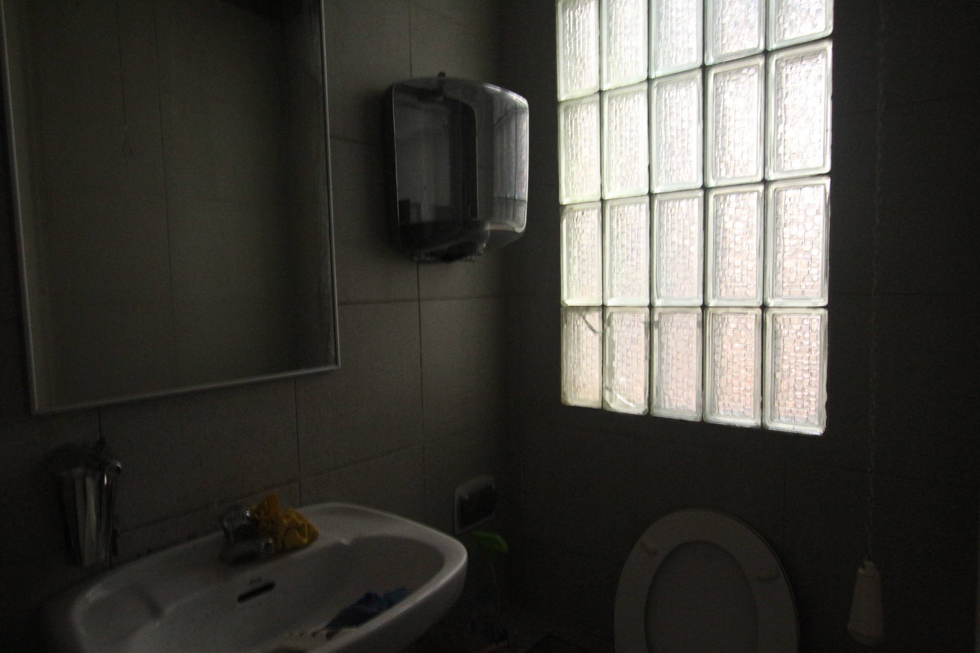 Imagen-6