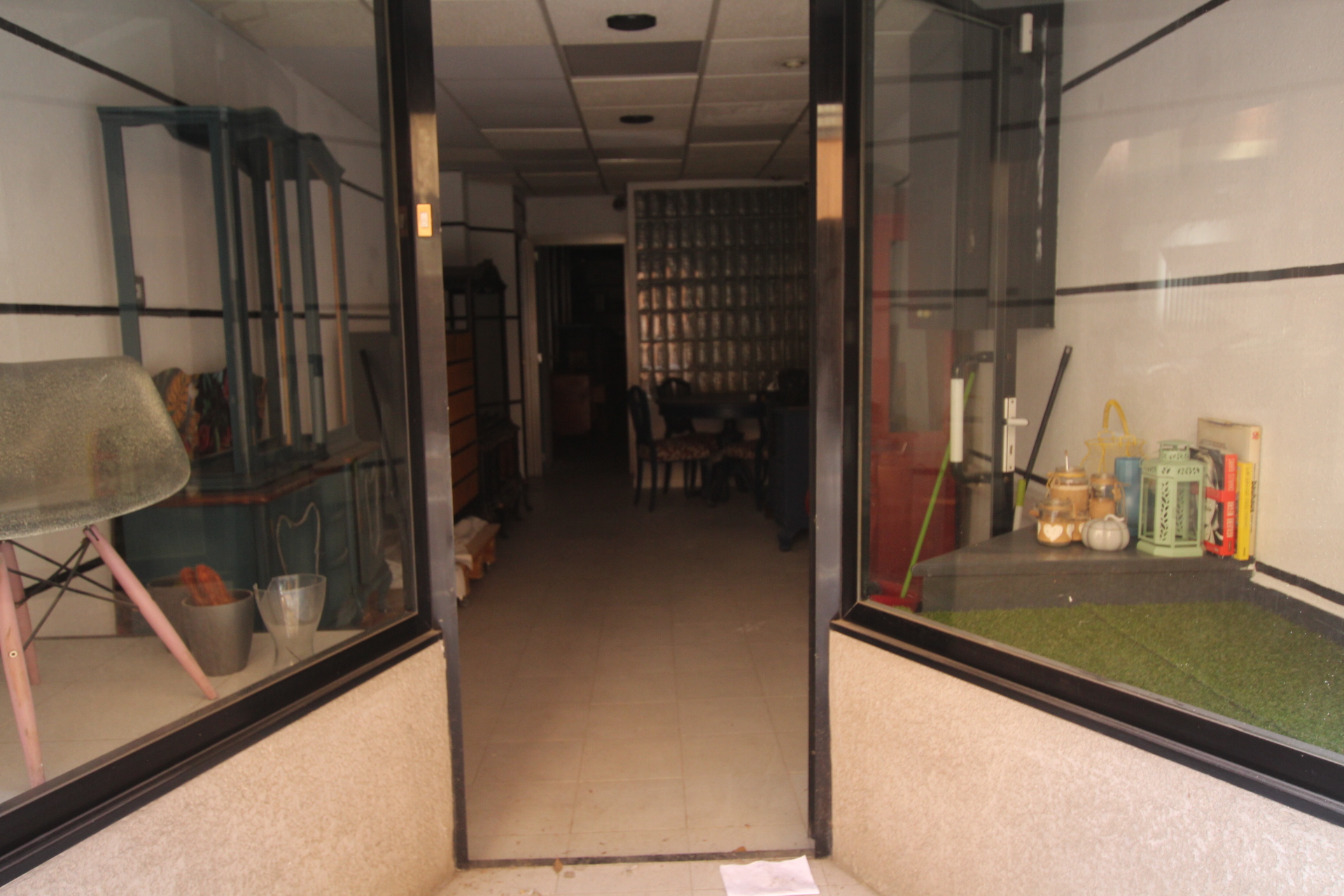 Imagen-1