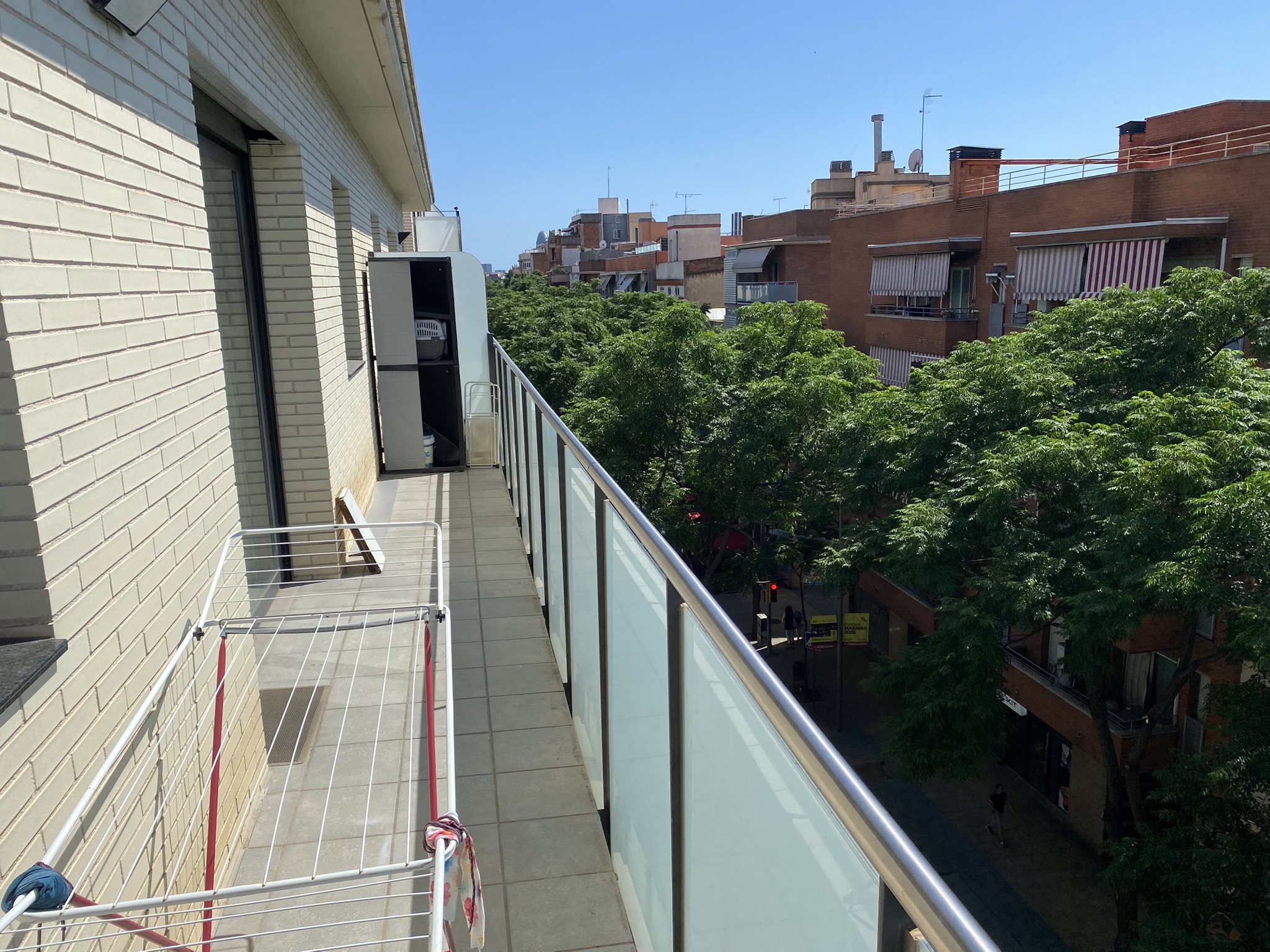 Imagen-15