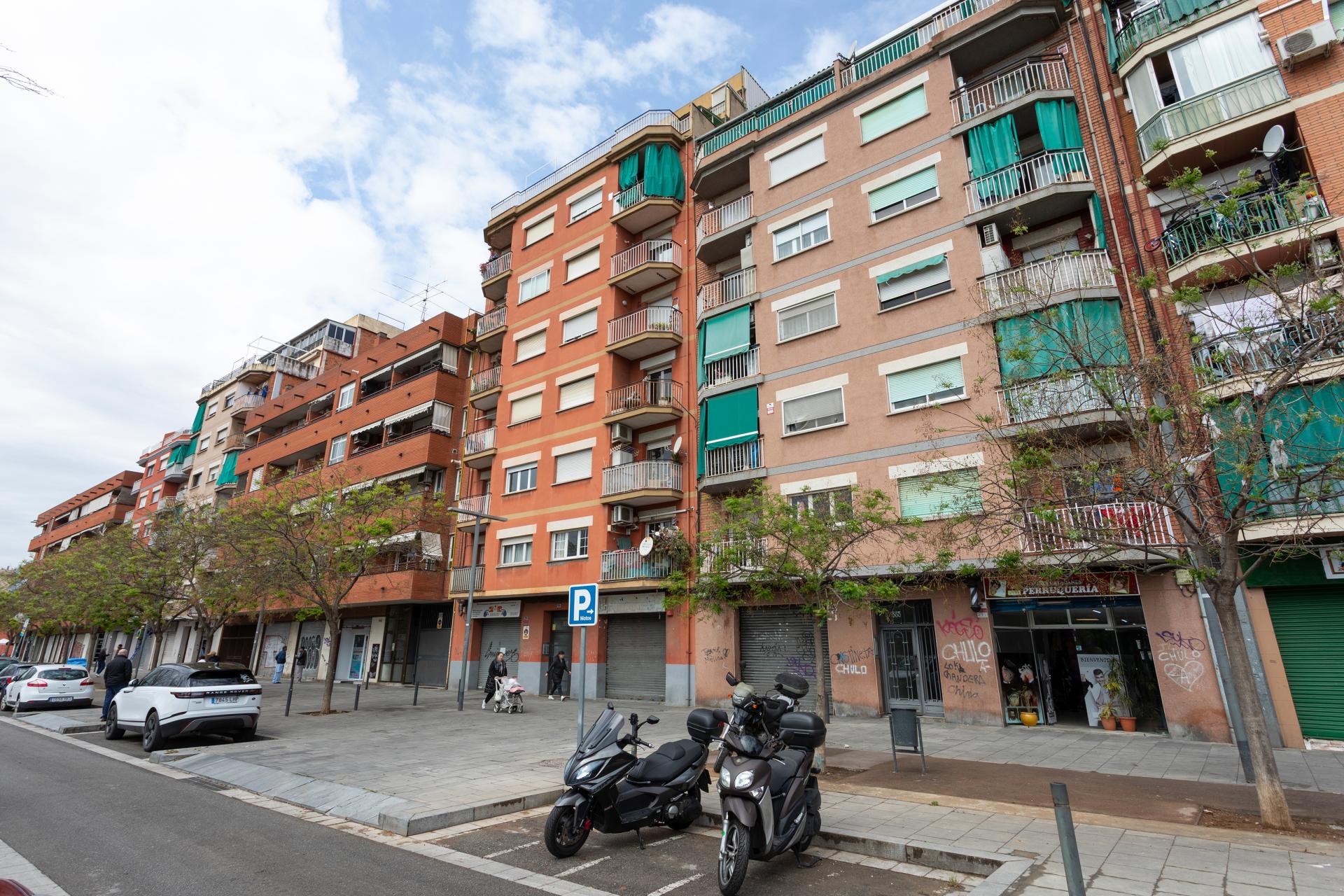 Imagen-23