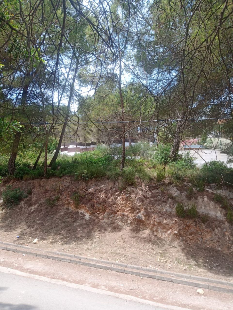 Imagen-2