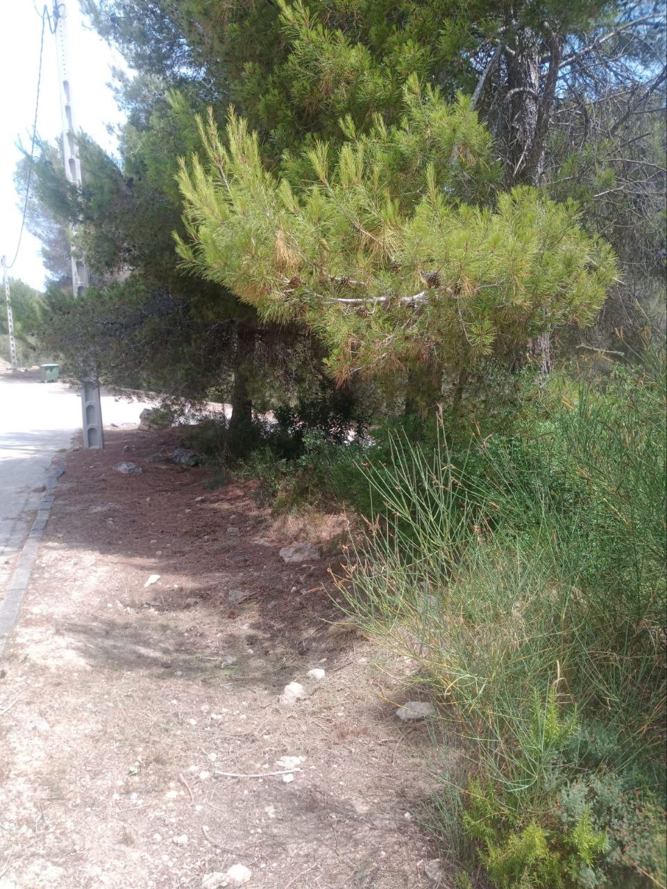 Imagen-3